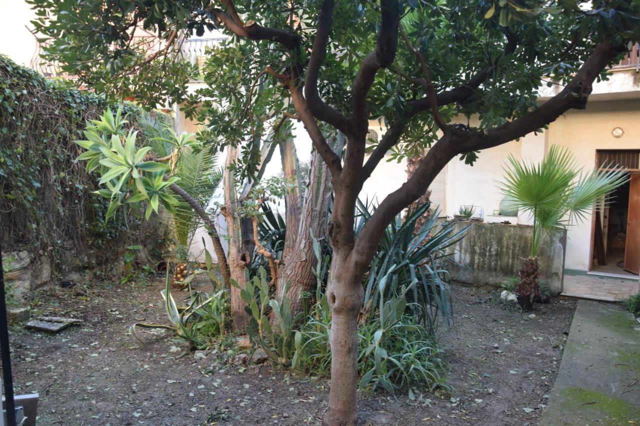 נוטו Artroom Garden מראה חיצוני תמונה