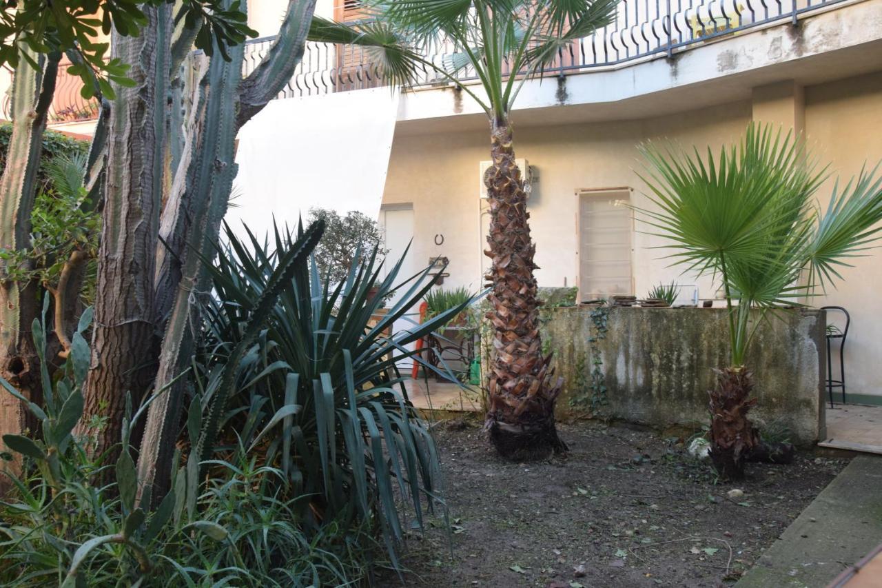 נוטו Artroom Garden מראה חיצוני תמונה