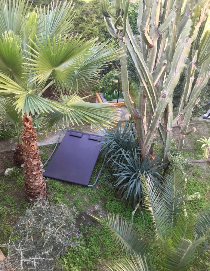 נוטו Artroom Garden מראה חיצוני תמונה