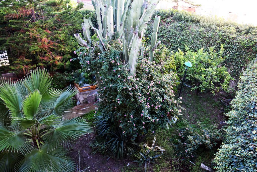 נוטו Artroom Garden מראה חיצוני תמונה