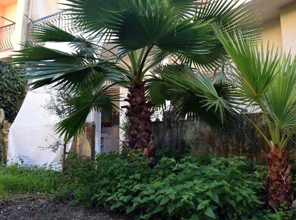 נוטו Artroom Garden מראה חיצוני תמונה